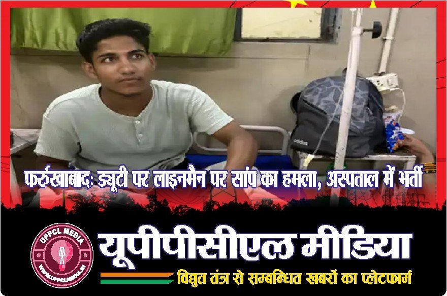 फर्रुखाबाद: ड्यूटी पर लाइनमैन पर सांप का हमला, अस्पताल में भर्ती