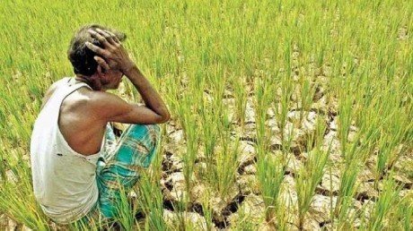 न खंभा न मीटर फिर भी भेज दिया 16,390 रुपए का बिल, गाेंदिया जिले के किसान के साथ हुई धोखाधड़ी...आत्महत्या ही एकमात्र विकल्प