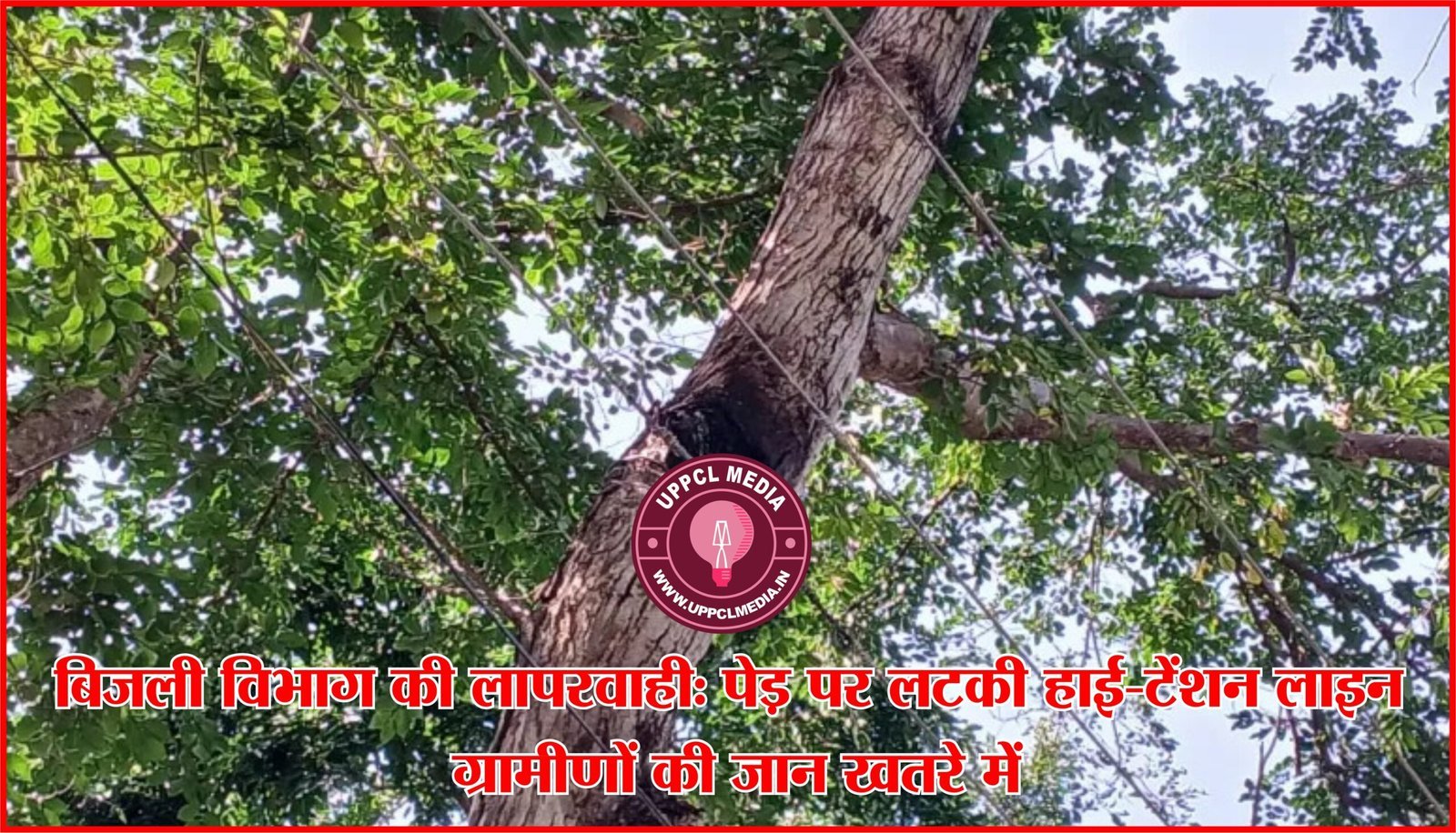 बिजली विभाग की लापरवाही: पेड़ पर लटकी हाई-टेंशन लाइन, ग्रामीणों की जान खतरे में