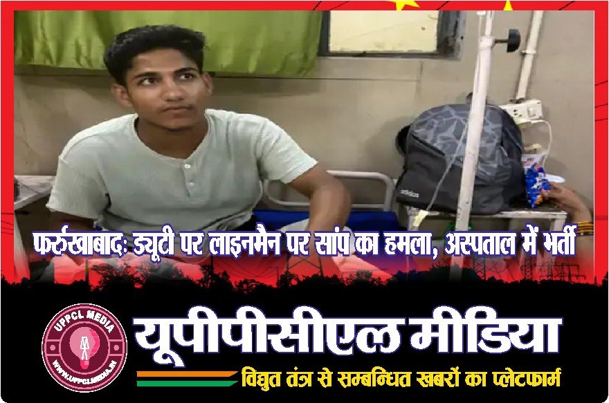 फर्रुखाबाद: ड्यूटी पर लाइनमैन पर सांप का हमला, अस्पताल में भर्ती