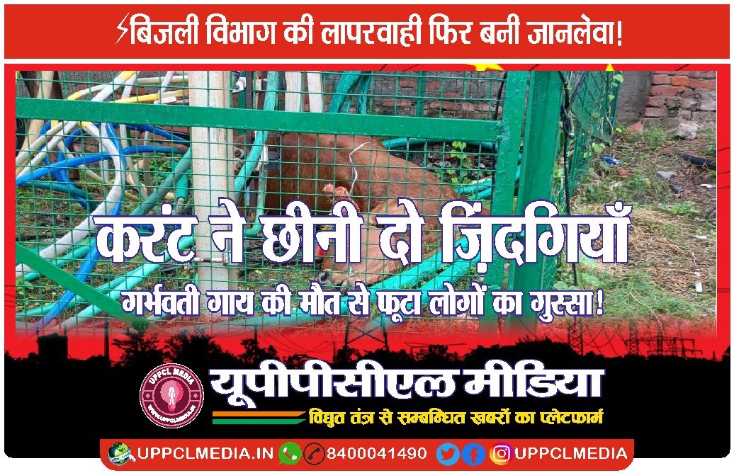 करंट ने छीनी दो ज़िंदगियाँ — गर्भवती गाय की मौत से फूटा लोगों का गुस्सा!